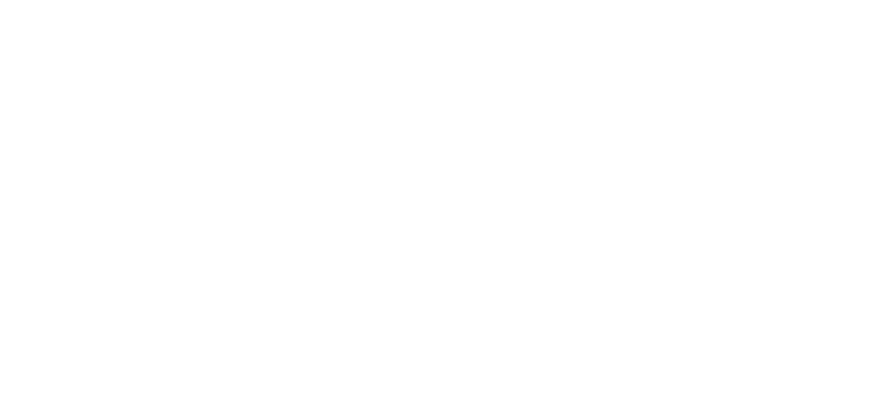 Projects completed for EY
