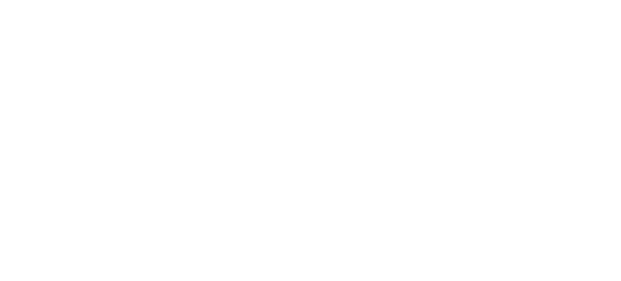 Projects completed for SNG Grant Thornton